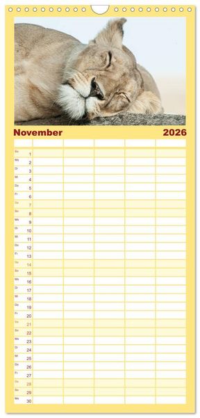 Produktbild: Familienplaner 2026 - Die Magie der K&ouml;nige der Tiere mit 5 Spalten (Wandkalender, 21 x 45 cm) CALVENDO