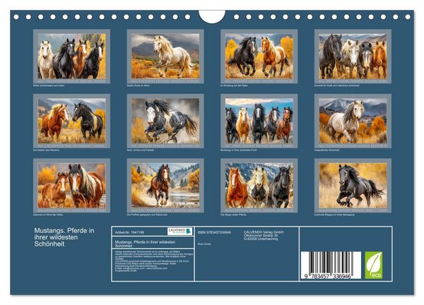 Produktbild: Mustangs. Pferde in ihrer wildesten Sch&ouml;nheit (Wandkalender 2026 DIN A4 quer), CALVENDO Monatskalender