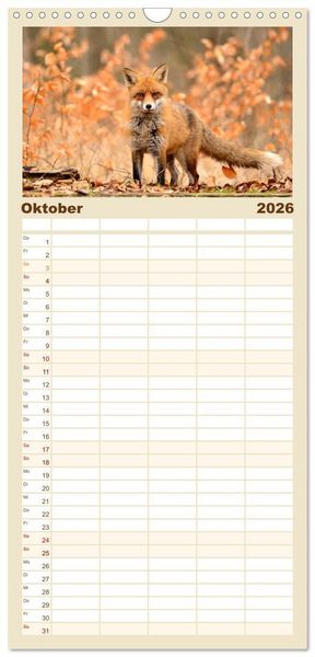 Produktbild: Familienplaner 2026 - Auf den Spuren der Stadtf&uuml;chse mit 5 Spalten (Wandkalender, 21 x 45 cm) CALVENDO