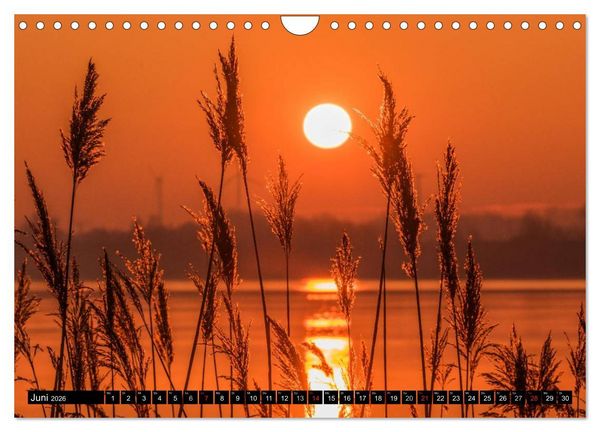 Produktbild: Immer wieder Sonnenschein (Wandkalender 2026 DIN A4 quer), CALVENDO Monatskalender