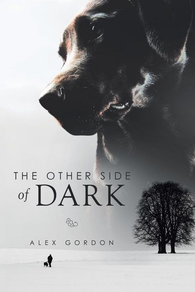 Produktbild: The Other Side of Dark