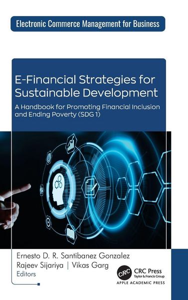Produktbild: E-Financial Strategies for Sustainable Development