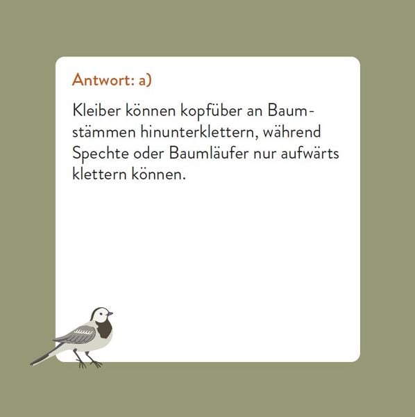 Produktbild: Das Vogel-Quiz