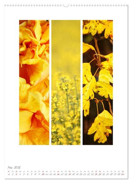 Produktbild: Natur Farben Dreiklang (hochwertiger Premium Wandkalender 2026 DIN A2 hoch), Kunstdruck in Hochglanz