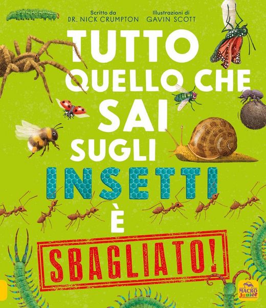 Produktbild: Tutto quello che sai sugli insetti &egrave; sbagliato!