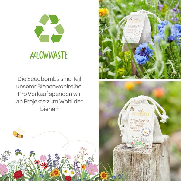 Produktbild: Bienenwohl 3er Seedbombs