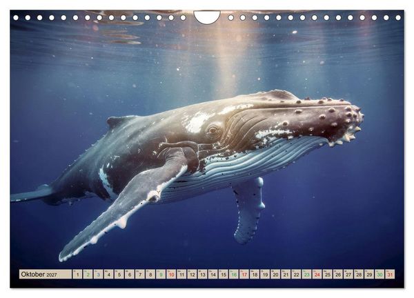 Produktbild: Die intelligentesten Tiere - Weltweit (Wandkalender 2027 DIN A4 quer), CALVENDO Monatskalender