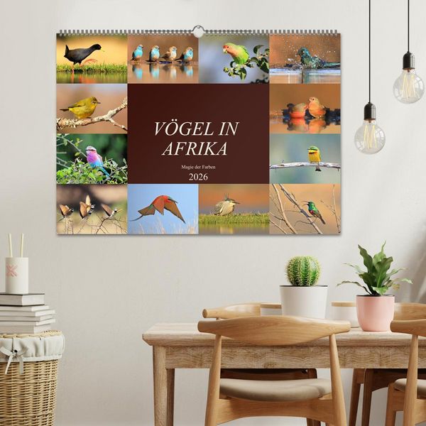 Produktbild: V&ouml;gel in Afrika - Magie der Farben (Wandkalender 2026 DIN A2 quer), CALVENDO Monatskalender