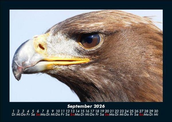Produktbild: Adler 2026 Fotokalender DIN A5