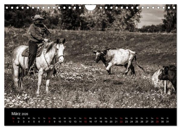 Produktbild: Westernreiten (Wandkalender 2026 DIN A4 quer), CALVENDO Monatskalender