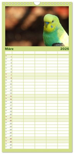 Produktbild: Familienplaner 2026 - Wellensittiche mit 5 Spalten (Wandkalender, 21 x 45 cm) CALVENDO