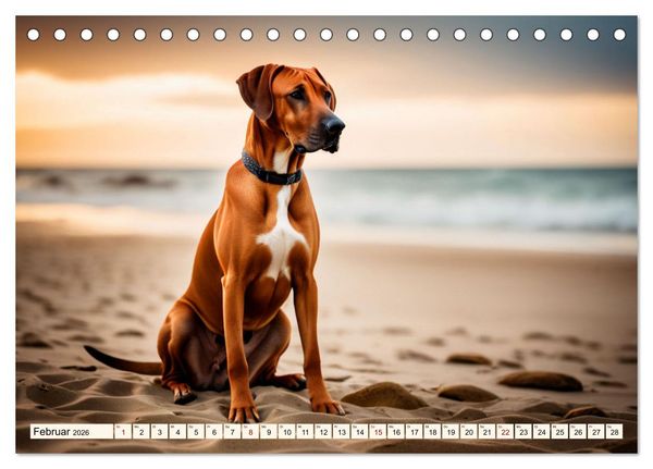 Produktbild: Rhodesian Ridgeback - Athlet mit R&uuml;ckenkamm (Tischkalender 2026 DIN A5 quer), CALVENDO Monatskalender