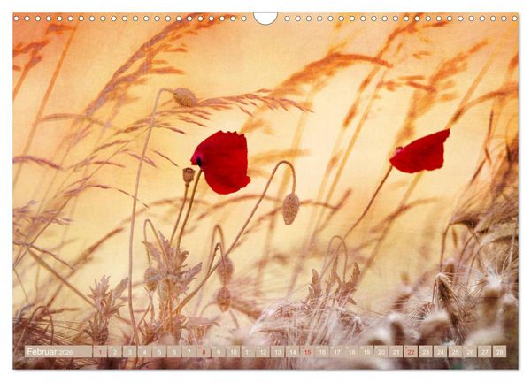 Produktbild: Mohnblumen - Fotografie mit Magie (Wandkalender 2026 DIN A3 quer), CALVENDO Monatskalender