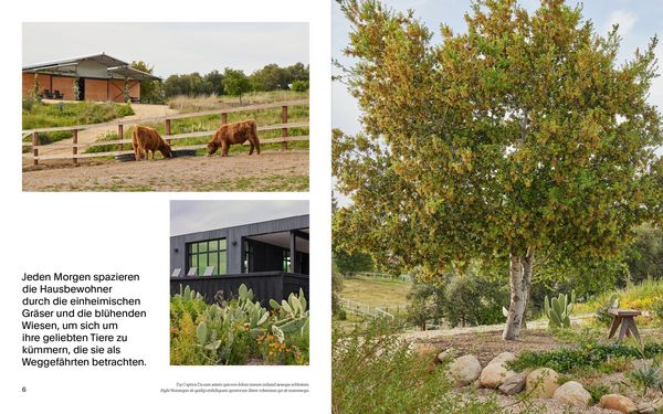 Produktbild: Cottagecore G&auml;rten
