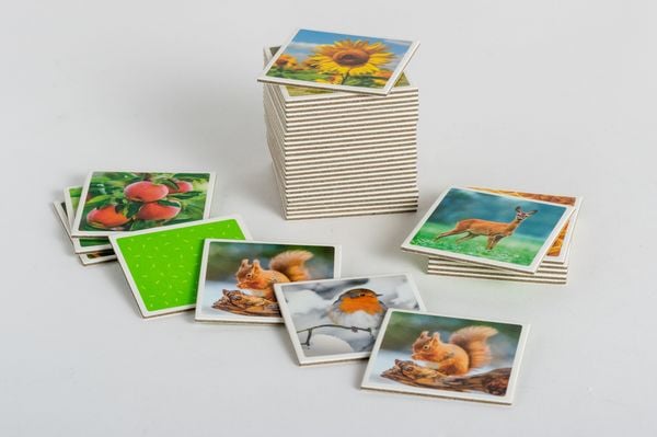 Produktbild: Natur Memo-Spiel f&uuml;r Kinder