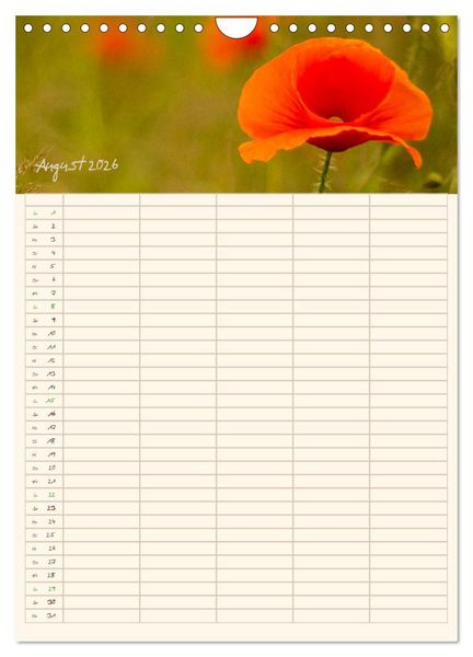 Produktbild: Mit Blick in den Garten (Wandkalender 2026 DIN A4 hoch), CALVENDO Monatskalender