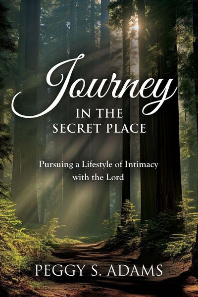 Produktbild: Journey in the Secret Place