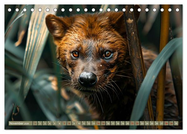 Produktbild: Die wilden Hunde (Tischkalender 2026 DIN A5 quer), CALVENDO Monatskalender