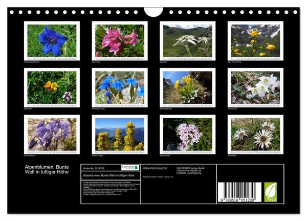 Produktbild: Alpenblumen. Bunte Welt in luftiger H&ouml;he (Wandkalender 2026 DIN A4 quer), CALVENDO Monatskalender