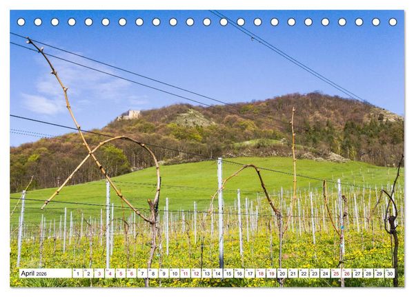 Produktbild: Weinberge um Jena (Tischkalender 2026 DIN A5 quer), CALVENDO Monatskalender