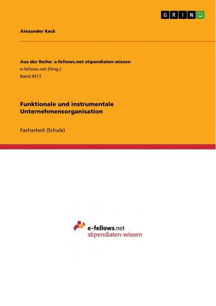 Produktbild: Funktionale und instrumentale Unternehmensorganisation