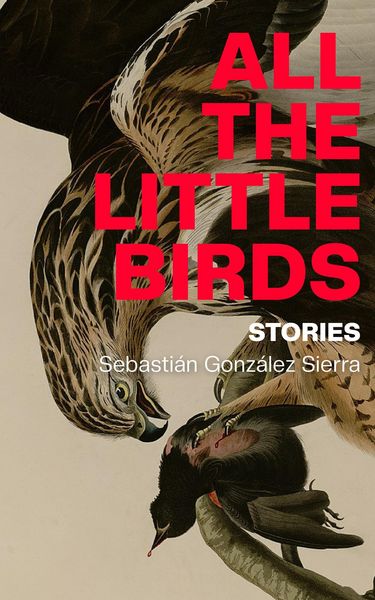 Produktbild: All the Little Birds