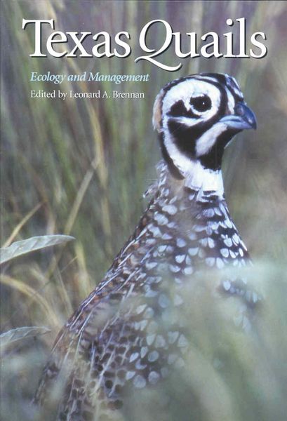 Produktbild: Texas Quails
