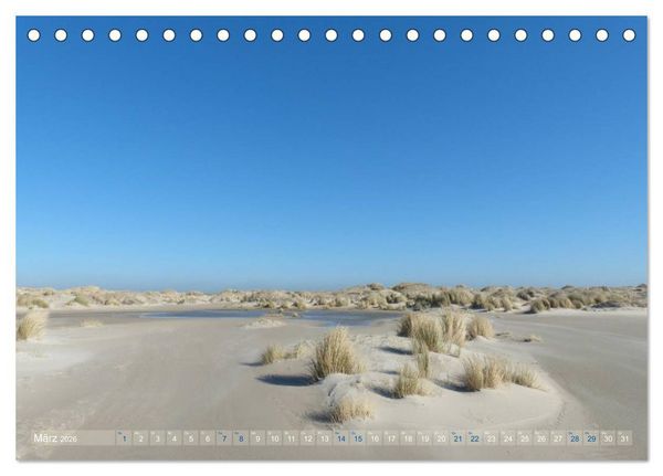 Produktbild: Texel. Neue D&uuml;nen (Tischkalender 2026 DIN A5 quer), CALVENDO Monatskalender