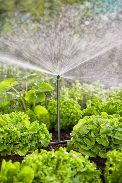 Produktbild: GARDENA Micro-Drip System 13450-20 Bew&auml;sserungs-Komplettset 13 mm (1/2") &Oslash; Gem&uuml;se-/Blumenbeet (40 m&sup2;)
