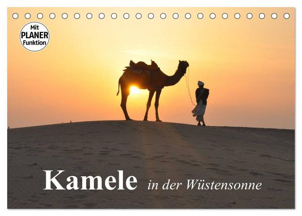 Produktbild: Kamele in der W&uuml;stensonne (Tischkalender 2026 DIN A5 quer), CALVENDO Monatskalender