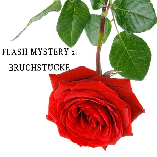 Produktbild: Flash Mystery 2: Bruchst&uuml;cke