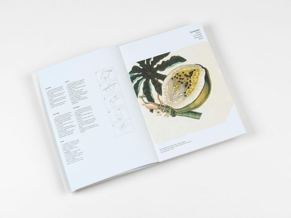 Produktbild: Natural History