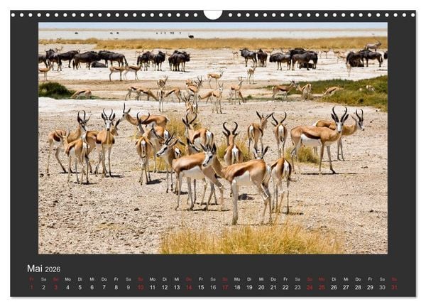Produktbild: Facetten Namibias (Wandkalender 2026 DIN A3 quer), CALVENDO Monatskalender