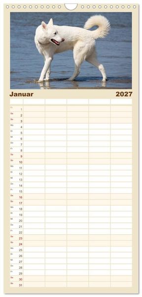 Produktbild: Familienplaner 2027 - Freunde auf vier Pfoten am Strand mit 5 Spalten (Wandkalender, 21 x 45 cm) CALVENDO