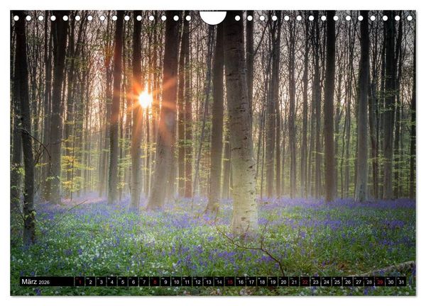 Produktbild: Ein neuer Tag beginnt (Wandkalender 2026 DIN A4 quer), CALVENDO Monatskalender