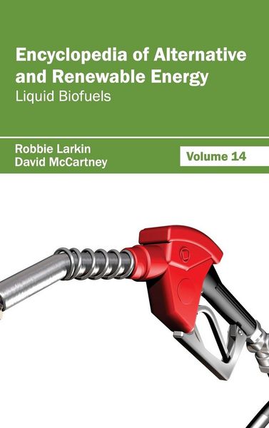 Produktbild: Encyclopedia of Alternative and Renewable Energy