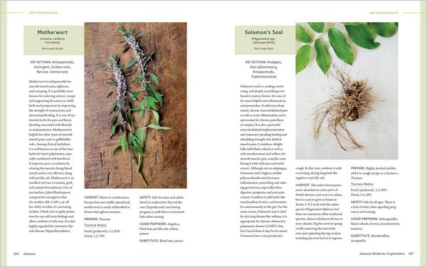 Produktbild: The Herbal Year