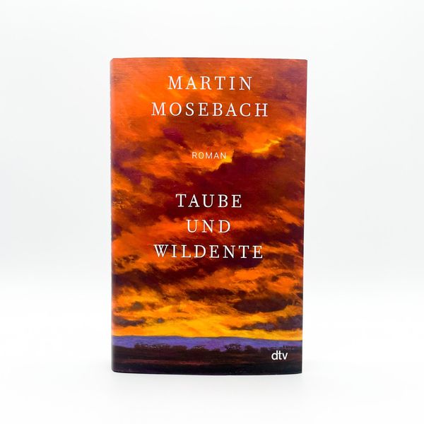 Produktbild: Taube und Wildente