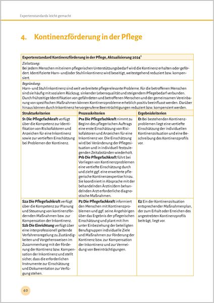 Produktbild: Expertenstandards leicht gemacht