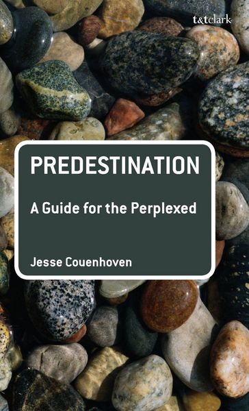 Produktbild: Predestination