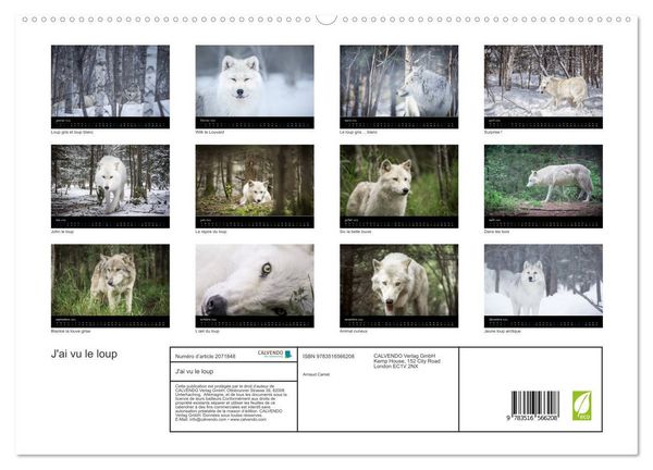 Produktbild: J'ai vu le loup (Calendrier mural 2026 DIN A2 vertical) calendrier de bureau