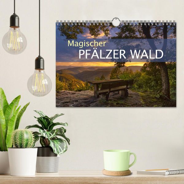 Produktbild: Magischer Pf&auml;lzer Wald (Wandkalender 2026 DIN A4 quer), CALVENDO Monatskalender