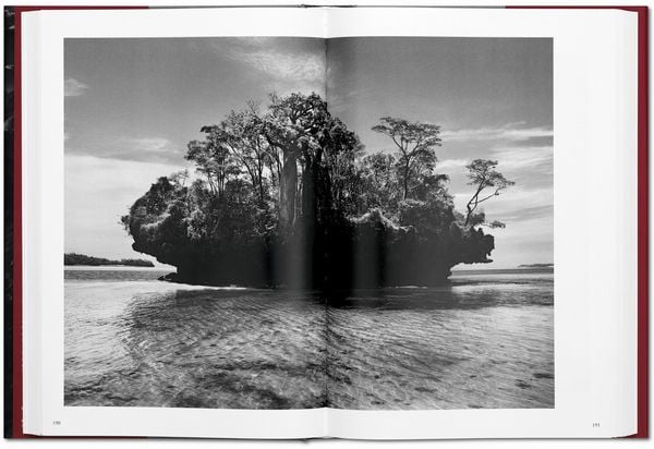 Produktbild: Sebasti&atilde;o Salgado. GENESIS