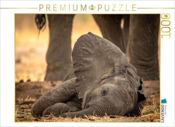 CALVENDO Puzzle Elefantenbaby schlafend und gut beschützt | 1000 Teile Lege-Größe 64x48cm Foto-Puzzle für glückliche Stunden