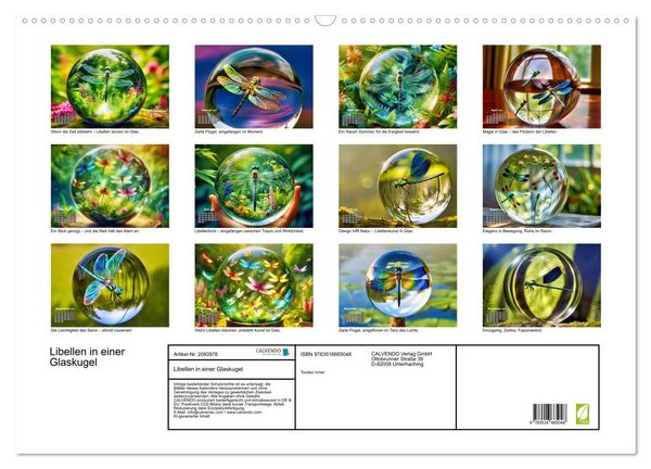 Produktbild: Libellen in einer Glaskugel (Wandkalender 2026 DIN A2 quer), CALVENDO Monatskalender