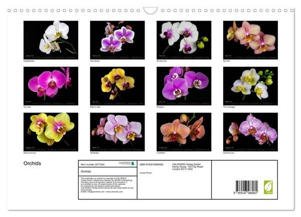 Produktbild: Orchids (Wall Calendar 2026 DIN A3 landscape), CALVENDO 12 Month Wall Calendar