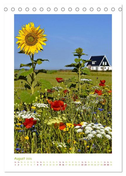 Produktbild: Texel - Momente die verzaubern (Tischkalender 2026 DIN A5 hoch), CALVENDO Monatskalender