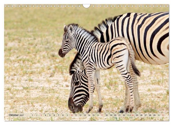 Produktbild: Wildes Kinderzimmer - Tierkinder in Afrika (Wandkalender 2027 DIN A3 quer), CALVENDO Monatskalender