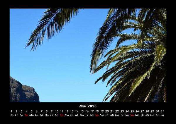 Produktbild: Palmentraum 2025 Fotokalender DIN A3