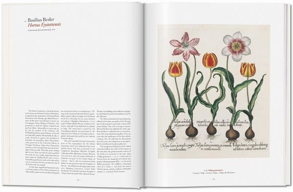 Produktbild: A Garden Eden. Masterpieces of Botanical Illustration
